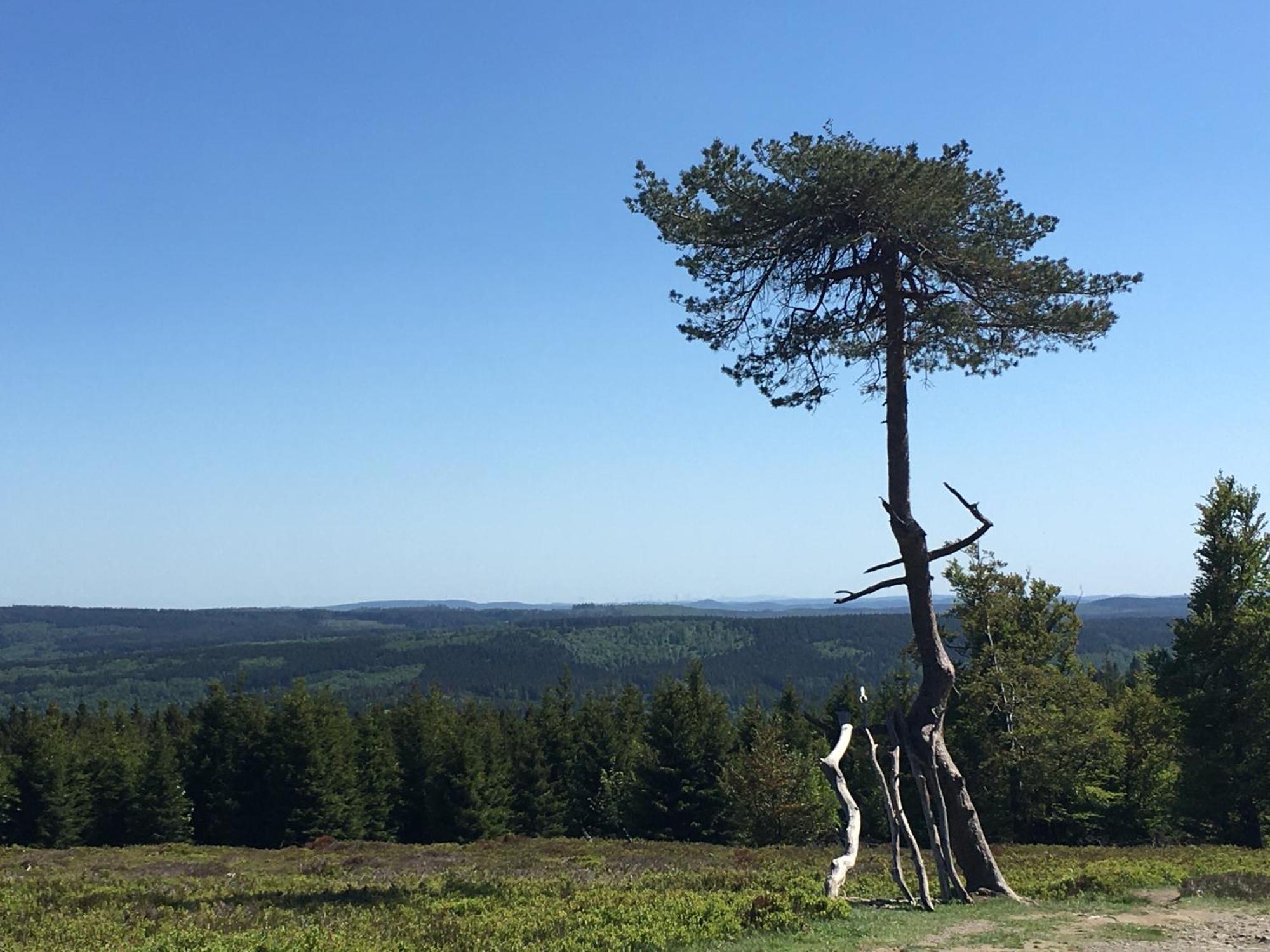 Berg- Und Seeblick Winterberg Exterior foto